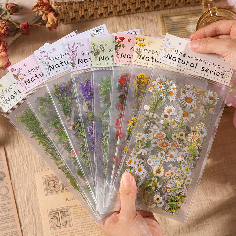 自然丛书系列手帐贴纸包pvc植物花卉复古素材纸儿童手账贴画6张