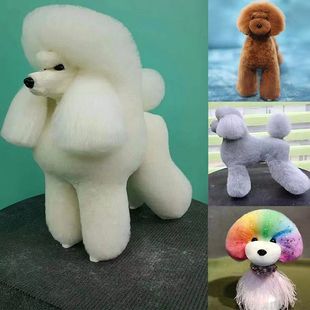 ��������ë���ݼٹ�ģ�͌�����Ӗ�WУ�ù���׼�Ǽ�̩��ģ��ȫ��ë