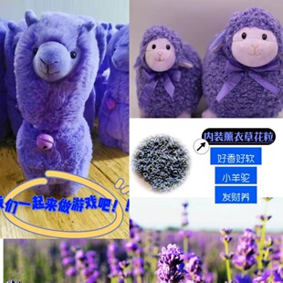 Xinjiang Ili Lavender Purple Doll Little Alpaca Fortune Sheep Holiday Souvenir Direct Sales Aromatherapy