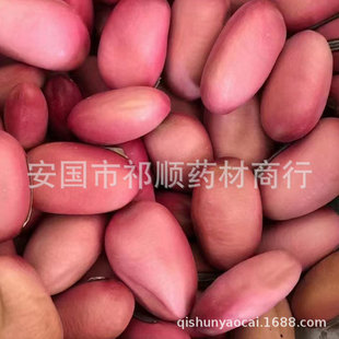 ���l ���ӹ� ����Ѭ���� �t������  �t����