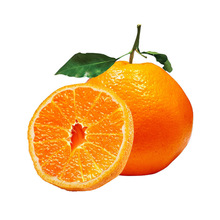 �Ĵ��ؼ���Ҋ�ҰҸ����θ����Ӯ����������rˮ����̽�һ�����l