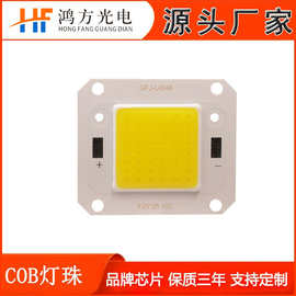 加工定制COB光源灯珠40x46舞台商业照明30W~80W大功率背光源高亮
