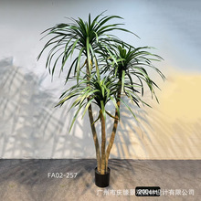 ���W�L��������F���҃ș���������Ѫ��͏d�bGֲ�Ƶ겼�Ø�