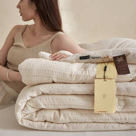 A类全棉面料65%大豆蛋白纤维被芯松软婴幼儿童可用被子春秋被新款