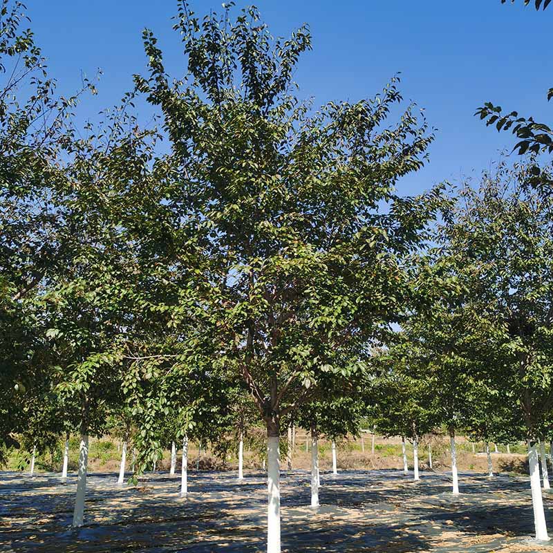 IMG_20221013_110051 副本.jpg