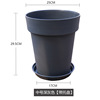 Resin, plastic plant lamp, creative flowerpot for gazebo, suitable for teen