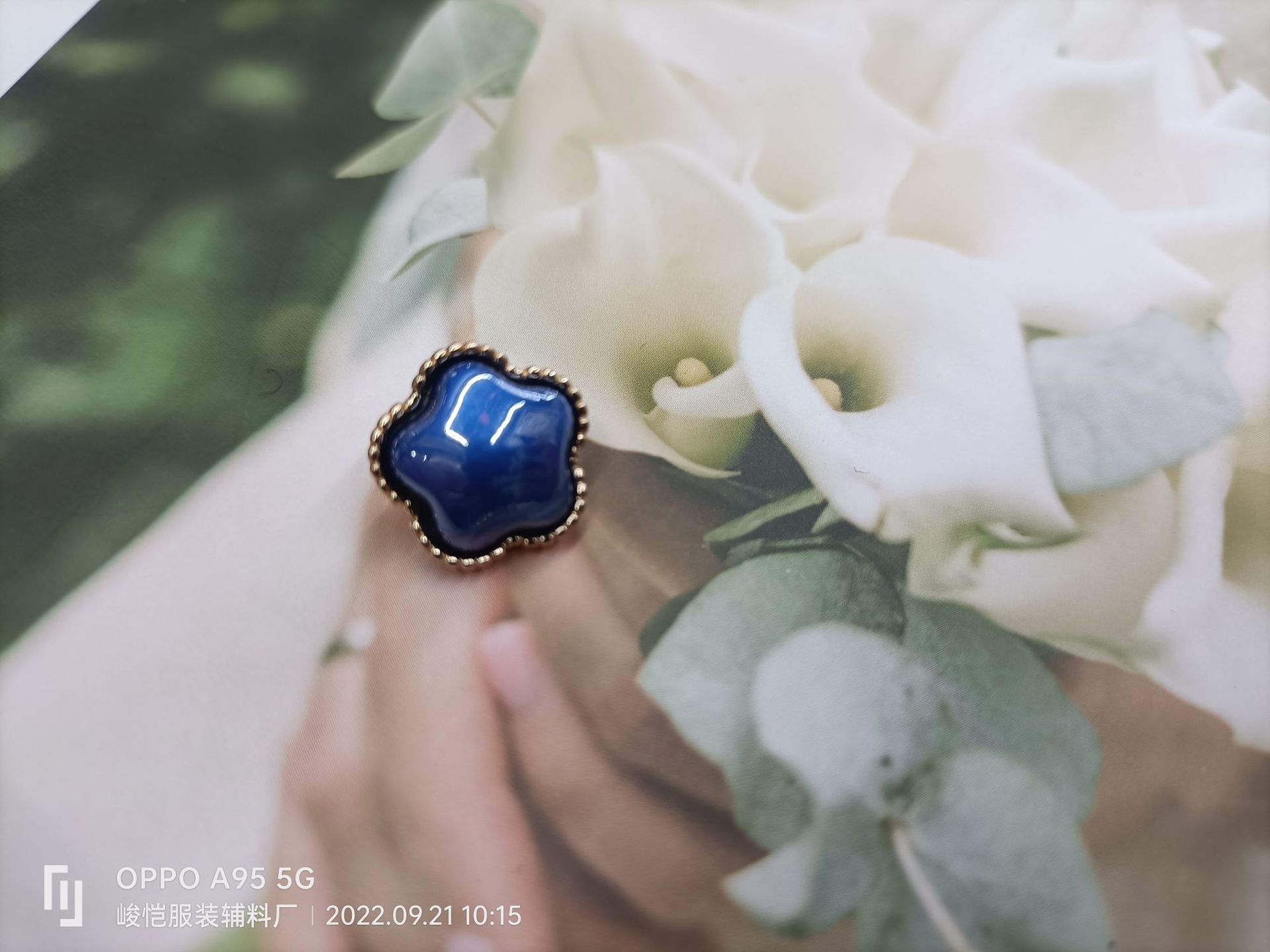 aaa123337d8db41db15c9217bb4e34