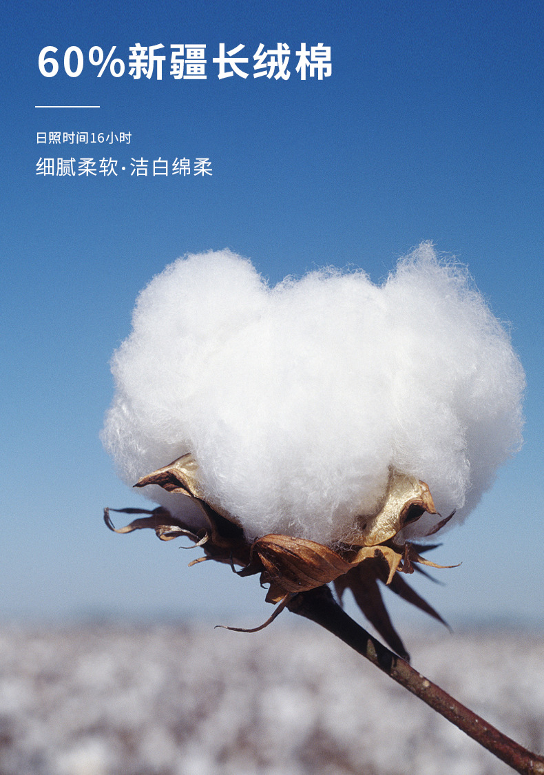 详情_04.jpg