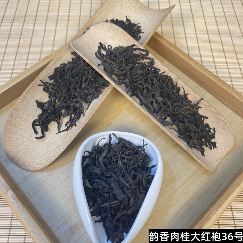 韵香肉桂大红袍36号