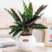 ���s�����p�ݸ߼��������L��荾G�j�����m�lؔ�������ݼy���ϻ���