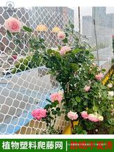 蔷薇爬藤网网塑料白色网架藤蔓植物月季墙面攀爬支架室内花架牵引