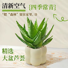 �J�C�҃����ԃ����՚��k���������辰�ͺ����B����ˮ��Gֲ����ȩ