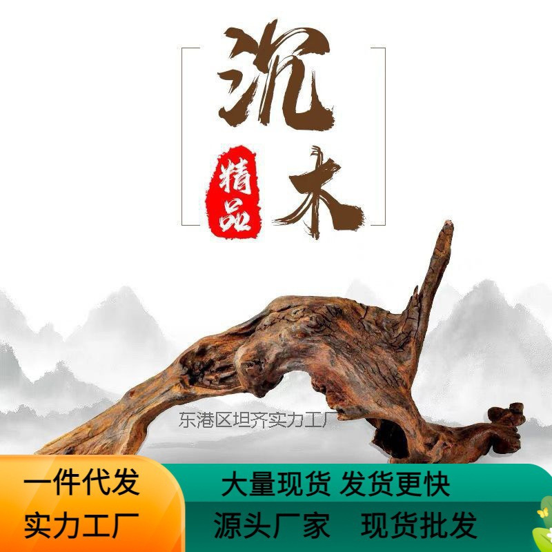 枯木树枝沉木现代爬宠躲避攀爬木鬃狮蜥晒台捷角守宫蛇饲养箱造景