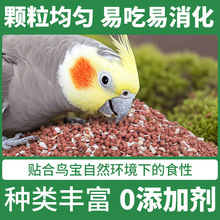 BW^ɰPĵƤBʳʳütɳ