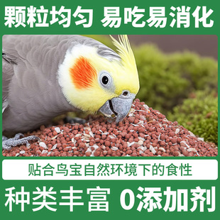 �B���W�^����ɰ���Pĵ����Ƥ�Bʳ���ʳ��üt��ɳ