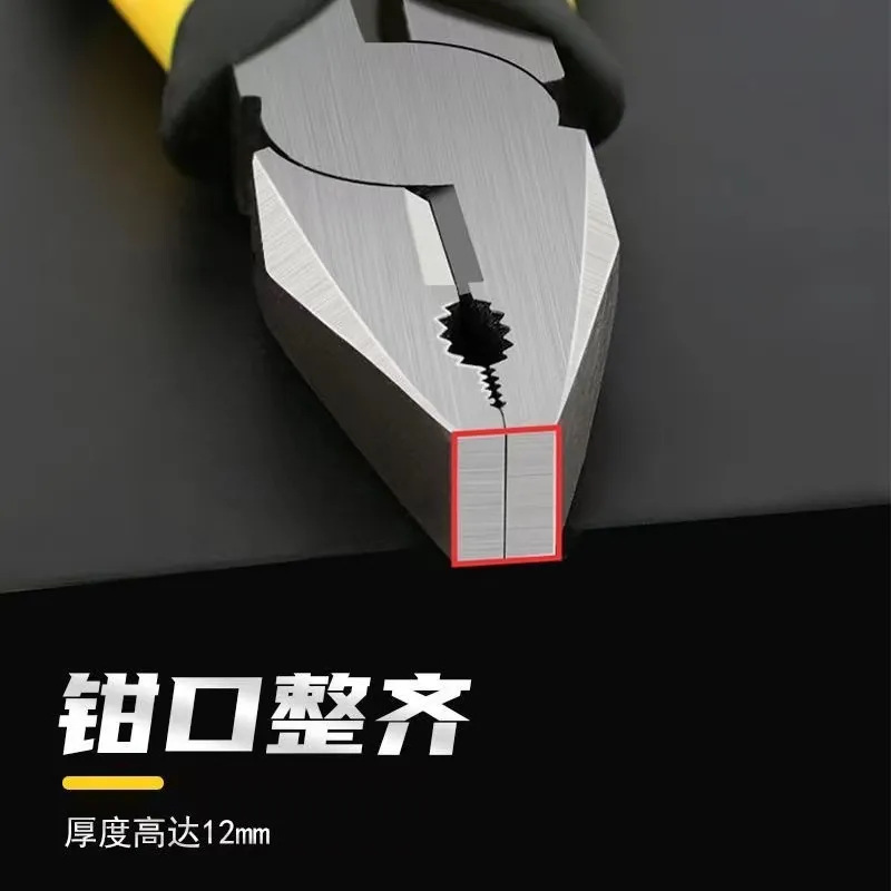 微信图片_20241025182741