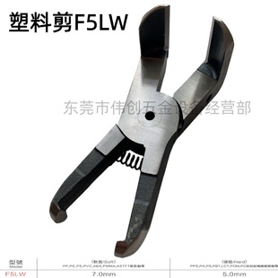 �F؛ F5LW�u䓵� ���ټ� �~���F�� F5LW���z�� ��20���w ��Ӽ�