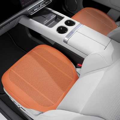 Big Dog H9, Xiaolong Max/H5, all-season | Seat cushion, seat cover - emma-orangefront-row-2-pieces