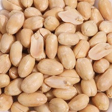 ����Ó�ͻ���������ζ�����������}�h����ɽ�|�خa�¾ƲˈԹ���ʳ