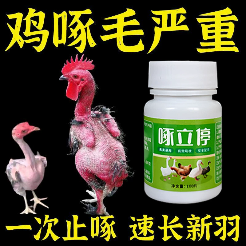 Клевки, чтобы остановить цыплят и яйца