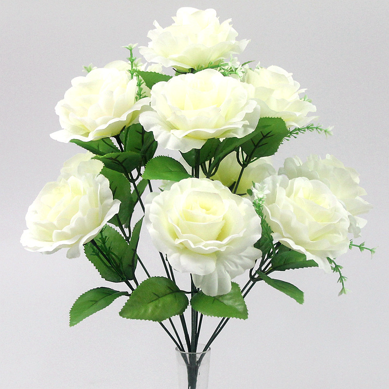 12 cabezas Paris Rose Milky White