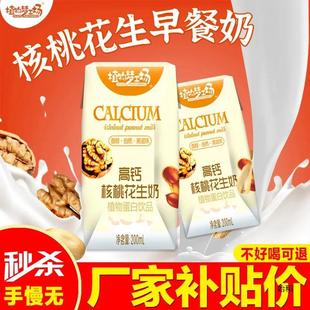 Breakfast Milk Walnut Peanut Milk Plus Calcium High Calcium Healthy Nutritional Drink Whole Box 200ml Box