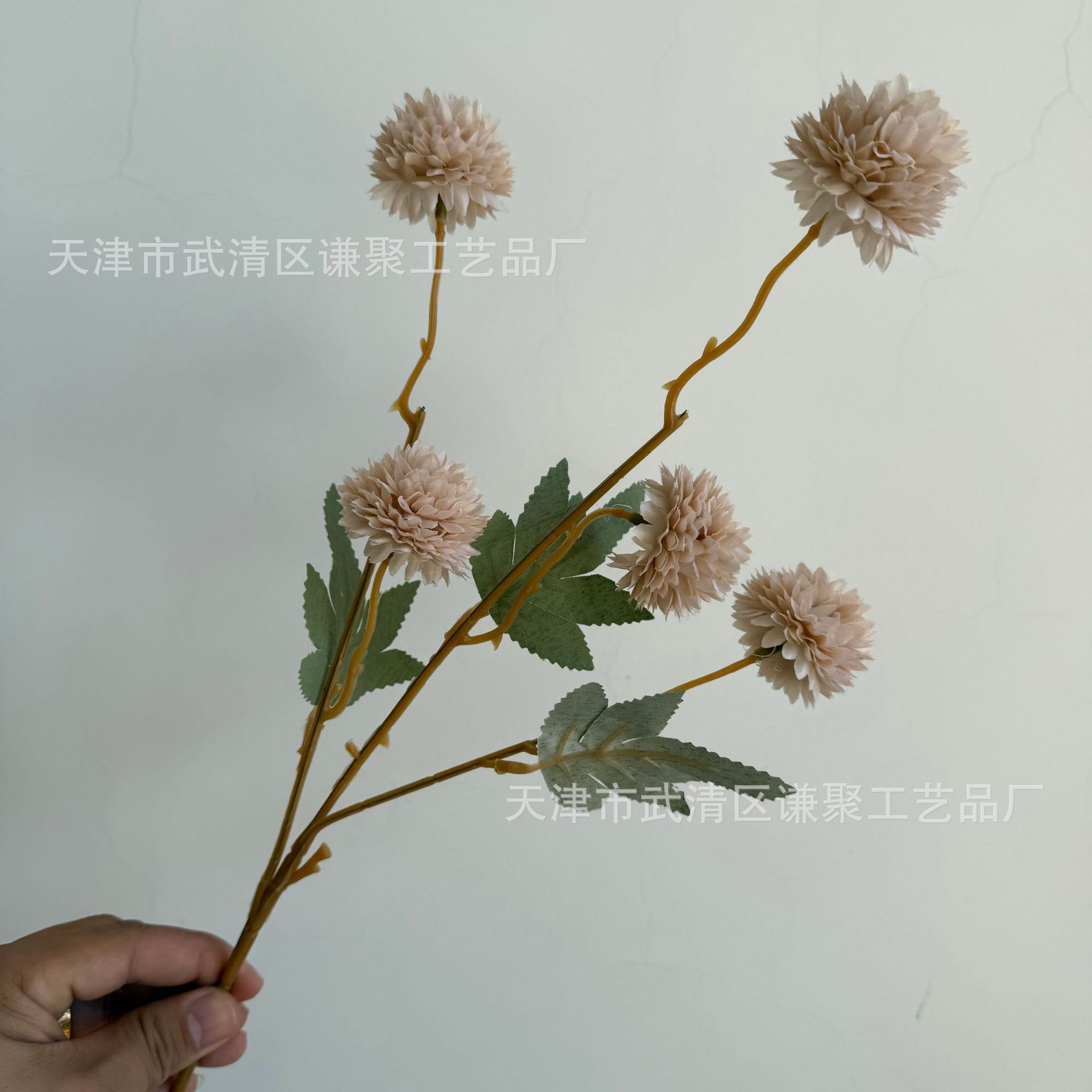 연한 갈색