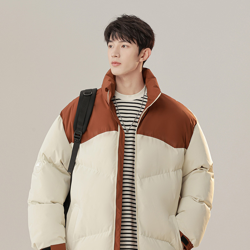 Invierno nuevo estilo de cuello vertical ropa de algodón hombre corto de algodón grueso ropa de invierno pan chaqueta de algodón coreano chaqueta de moda