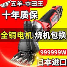 ��������늄���ë������ë���������ë��������ë��ë�C������