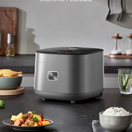 家用电炸锅;电火锅;电炖锅