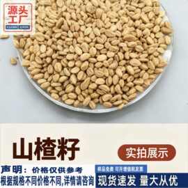 除尘烘干山楂籽枕芯填充物园艺铺面基质 车载坐垫填充料山楂核