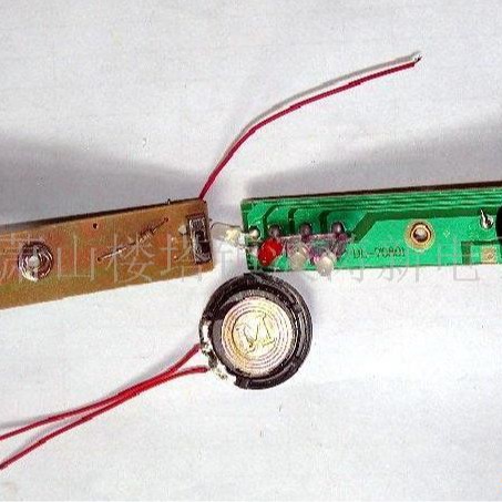 IC 130*93707726杭州波涛新电子元件厂 供音乐闪灯及小喇叭发声件