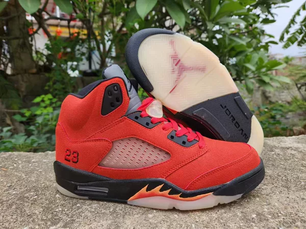 AJ5-Spike Lee (36)
