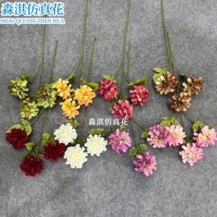 �S�����l3�^�عϻ����滨��c·���廨�b�Y�ò����Ҿ�ܛ�b��