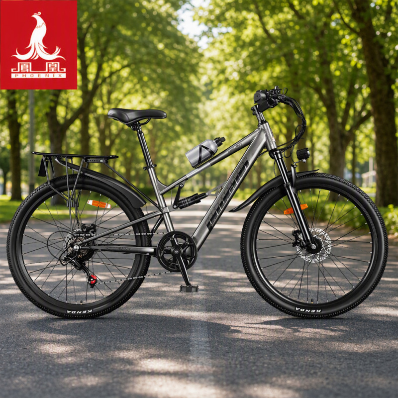 Phoenix lithium battery assisted electric bicycle, Shimano gear mountain bike, dual shock absorber bike for men and women Phoenix lithium battery assisted electric bicycle, Shimano gear mountain bike, dual shock absorber bike for men and women