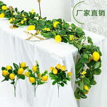 ���������ٗl �羳�ҾӲ������왎�ʹ���c�[��߷��晎���ٗl