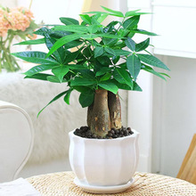 lֲؔ҃Ȼֲ҃ȻGֲ҃ȿ͏dBСl