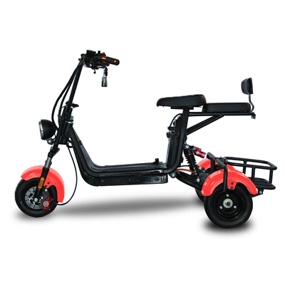 Warehouse Direct Delivery, Elektrikli motosikletlər