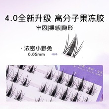 ���o�����z�ٽ�ë��ȫ�Ҹ���ж��ճ�۽�ë�޽���Ȼ�냺�������z