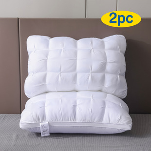 2025�¿�羳���l��ܛ5�Ƶ��|�����^20x30Ӣ��