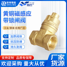 磁性锁闭铜闸阀加密带锁水表前阀门自来水管防盗钥匙暖气开关密封