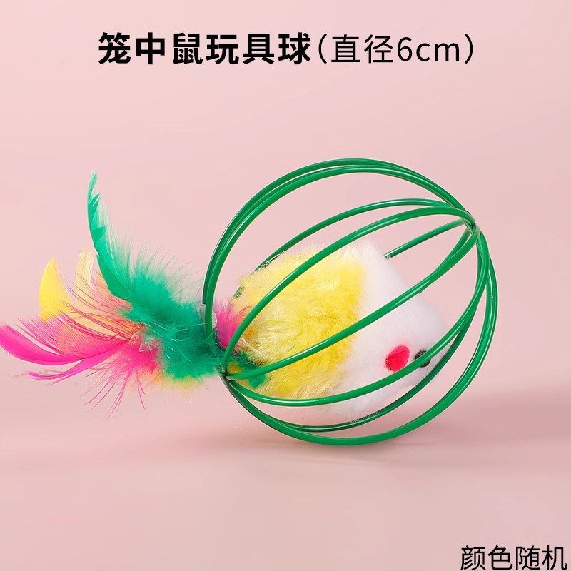 죄수 새장 쥐