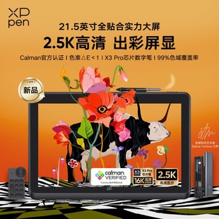 XPPen Artist Pro22(Gen2)2.5K Digital Screen Computer Professional Painting Hand-painted Digital Screen