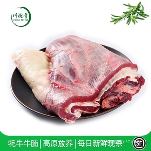 �������ţ�����r2000g �F�����aţ�����rţ�������K������M��