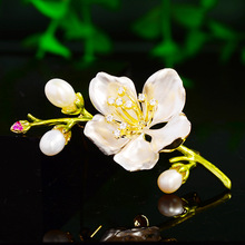 �¿�ֲ��ϵ�һ�֦��ᘃ��Ř�֦���������ػ��r�г��������e�