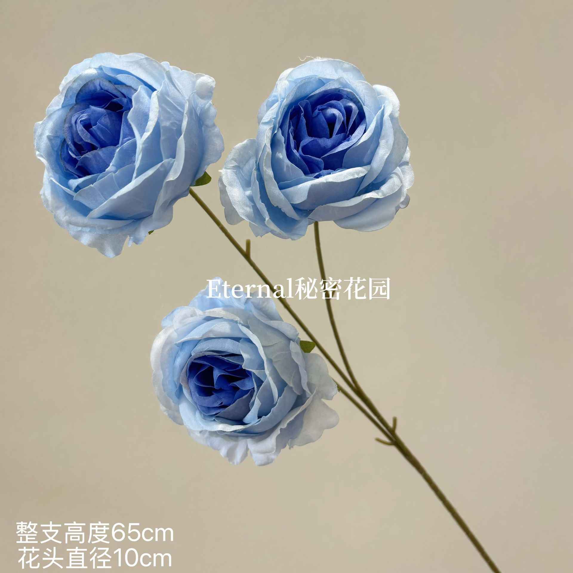 바오신메이
