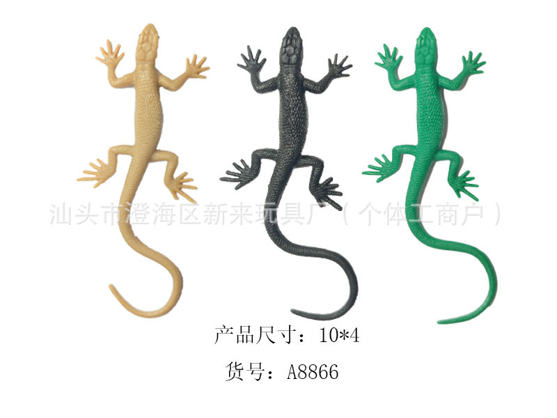 10cm 도마뱀붙이