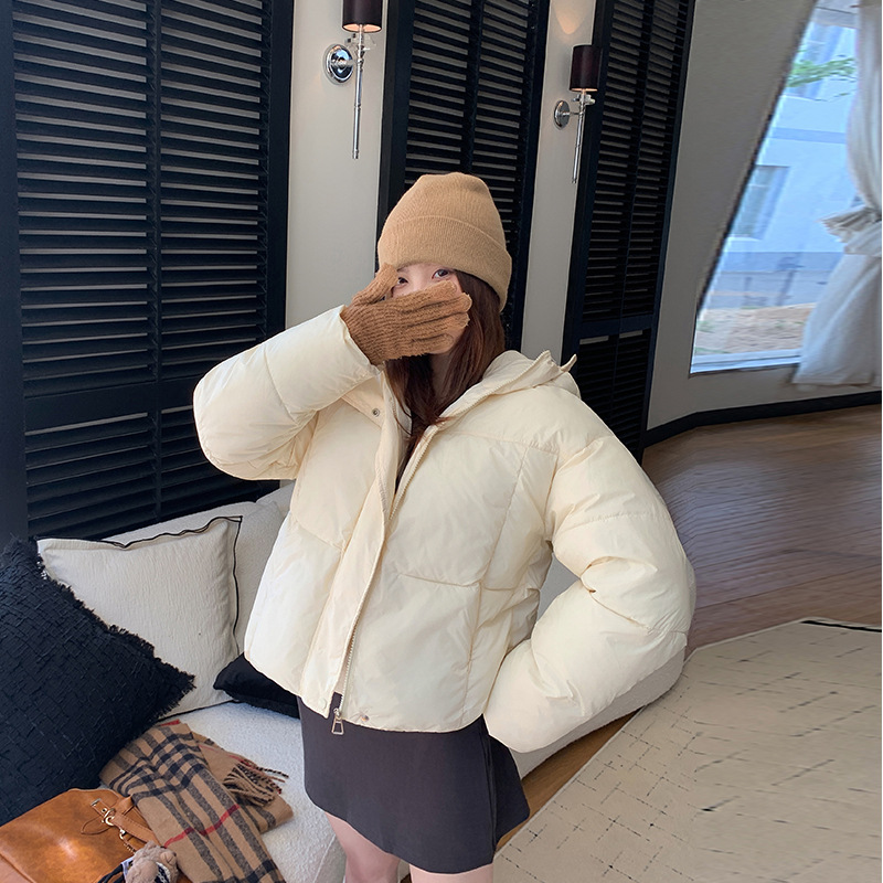2025 invierno nuevo algodón casual chaqueta de algodón pequeño suelto mujer corto engrosado chaqueta cálida con capuz image 5