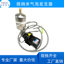 水泵溶气臭氧不锈钢自吸式气液富氢氧混合泵纳米气泡发生器混合泵