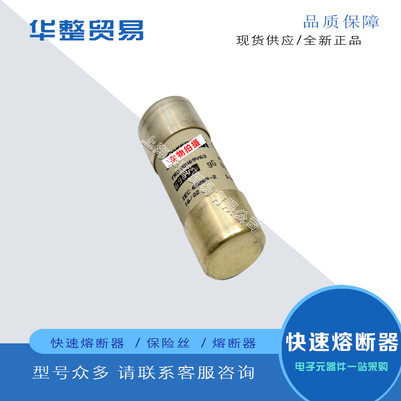 FR22GG69V12P FR22GG69V16P FR22GG69V20PFR22GG69V25P全新熔断器